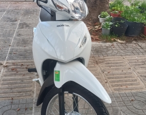 Wawe a 2024